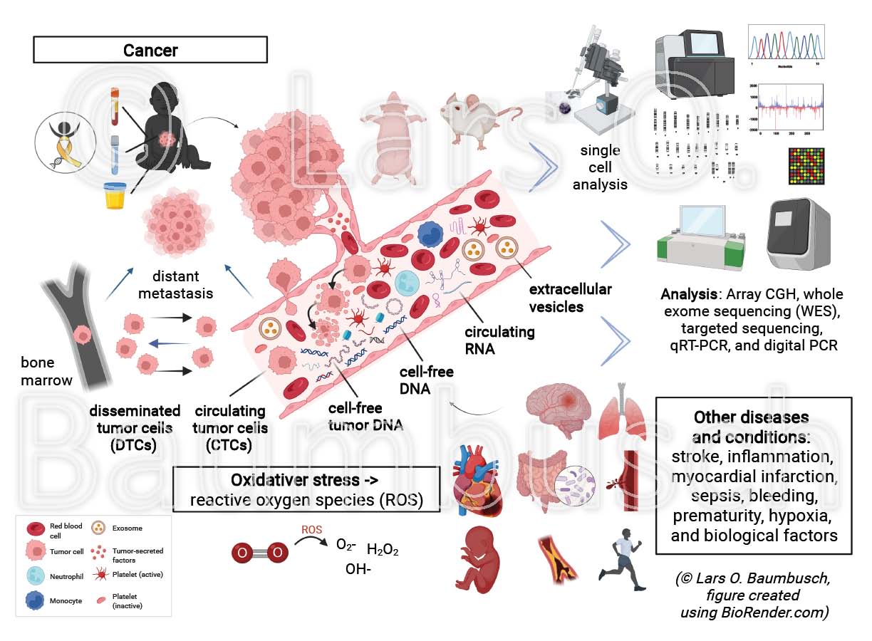 Molecular biology of oxidative stress and cancer
